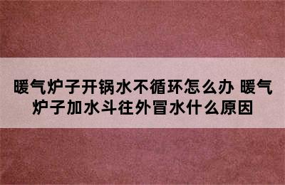 暖气炉子开锅水不循环怎么办 暖气炉子加水斗往外冒水什么原因